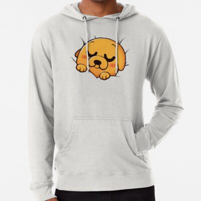 Sleeping Jake Adventure Time Hoodie