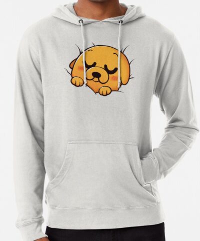 Sleeping Jake Adventure Time Hoodie